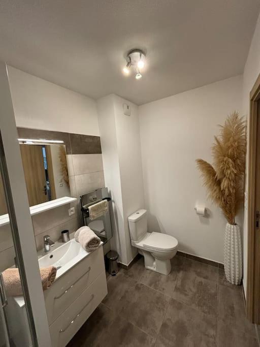 Jolie Appartement En Residence Бастія Екстер'єр фото